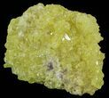 Sulfur Crystals on Matrix - Bolivia #51572-1